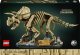 LEGO Jurassic World Szkielety dinozaurów: triceratops (77985) 1