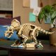 LEGO Jurassic World Szkielety dinozaurów: triceratops (77985) 8