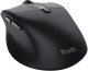 Mysz Trust Zevo myszka Uniwersalne Po prawej stronie RF Wireless + Bluetooth Optyczny 4000 DPI (25991) 3