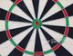 Harrows Tarcza sizalowa Oficial Competition 45.7 cm (T1121) 9