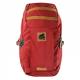 Iguana Plecak sportowy Tautara 30 L Aurora Czerwony (7399) 1