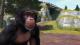 Zoo Tycoon Xbox One 3