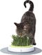 Hagen HAG.CATIT DESIGN SENS.TRAWA D/KOTA 50755 - 77956 2