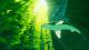 ABZU PS4 4