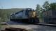 Train Sim World: CSX Heavy Haul PC, wersja cyfrowa 10