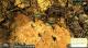 Wasteland 2 PC, wersja cyfrowa 4