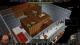 A Game of Dwarves PC, wersja cyfrowa 5