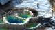 Pillars of Eternity: The White March Part I PC, wersja cyfrowa 5