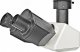 Mikroskop Bresser Bresser Bioscience Trino Microscope (5750600) 5