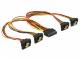 Delock SATA 15-pin - SATA 15-pin x4, 0.3m, Wielokolorowy (60167) 2
