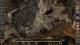 Baldur's Gate II: Enhanced Edition PC, wersja cyfrowa 8