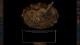 Baldur's Gate: Enhanced Edition PC, wersja cyfrowa 2