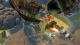 Magicka 2 - Deluxe Edition PC, wersja cyfrowa 5