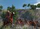 Mount & Blade PC, wersja cyfrowa 11