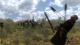 Mount & Blade: With Fire & Sword PC, wersja cyfrowa 6