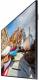 Monitor Samsung LH55PMHPBGC/EN 5