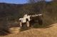 Axial Model RC Yeti Score TT 1:10 KIT (AX90068) 8