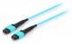 Equip Patchcord światłowodowy MTP - MTP, Multimode OM4, 15m (25555707) 1