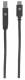 Kabel USB Manhattan USB-C - USB-B 2 m Czarny (354998) 3