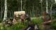 Kingdom Come: Deliverance - Edycja Specjalna PS4 1