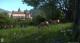 Kingdom Come: Deliverance - Edycja Specjalna PS4 4