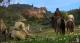Kingdom Come: Deliverance - Edycja Specjalna PS4 8