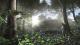 Battlefield 4 PC, wersja cyfrowa 1
