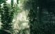 Sniper: Ghost Warrior PC, wersja cyfrowa 5