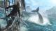 Assassin's Creed IV: Black Flag PC, wersja cyfrowa 1