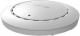 Access Point EdiMax CAP1300 6