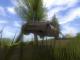 Xpand Rally Xtreme PC 5