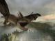 Harry Potter i Czara Ognia Platinum 6