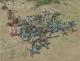 Classic: Armies of Exigo PC 2
