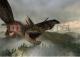Classic: Harry Potter i Czara Ognia PC 4
