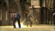 Classic: Harry Potter i Zakon Feniksa PC 2