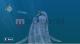Endless Ocean Wii U 4