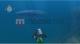 Endless Ocean Wii U 5