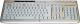 Klawiatura HP HP PS2 US LAYOUT SILVER 1