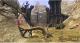 Divinity II: Ego Draconis PC 14