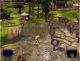 The Settlers: Narodziny kultur PC 4