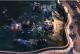 Command & Conquer RED ALERT 3 CLASSICS PC 5
