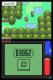Pokemon Diamond 5