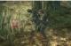 Metal Gear Solid 3: Snake Eater 4