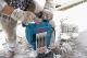 Bosch Młot wyburzeniowy GSH 16-28 1750 W 2
