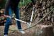 Sekator Fiskars L109 kowadełkowy 1