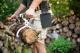 Fiskars Kleszcze do pni WoodXpert 303mm (126031) 2