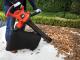 Black&Decker Odkurzacz ogrodowy 3000W worek 50L (GW3050) 5