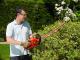 Black&Decker Nożyce do żywopłotu GT 5050 500W 50cm (GT5050) 2