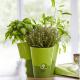 Emsa Doniczka na zioła potrójna biała Fresh Herbs (EM-515352) 3