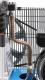 Sprężarka Airpress HL 340-90 10bar 90L (36844-E) 9